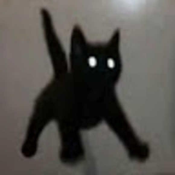 Meet your Posher, Cat - Picture 1 of 1